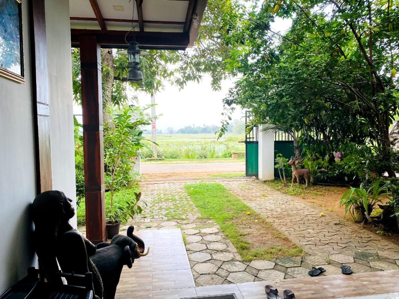 Hotel Tissamaharama Extérieur photo