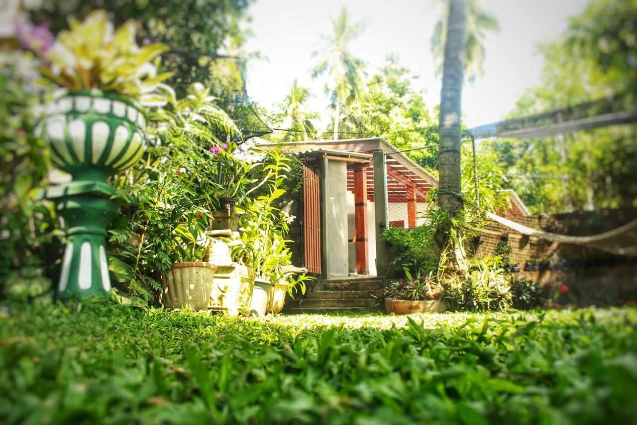 Hotel Tissamaharama Extérieur photo